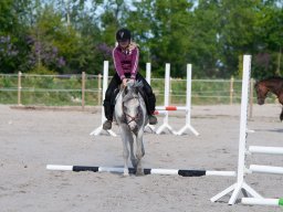 IMG_0478_web